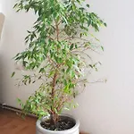 Kwatera prywatna Visoko Homestay