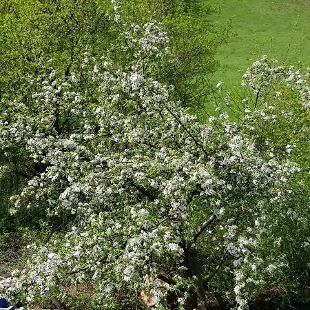 Privatunterkunft Visoko Homestay *